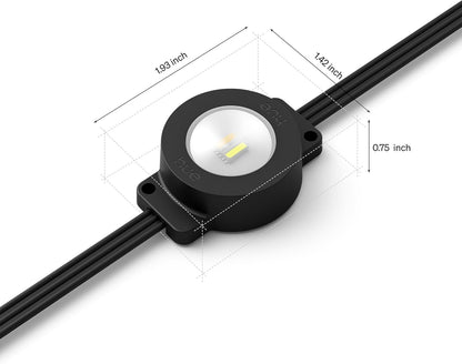 Philips Hue Festavia 90ft Permanent Outdoor String Lights, 48 Dimmable Lights, 55 Lumens Each, Weatherproof, Water-Resistant, Black Wire, Color Ambience, Bridge Required